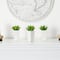 9" Mini Agave Arrangement in White Planter, 3ct.